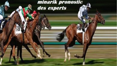 minarik pronostic des experts