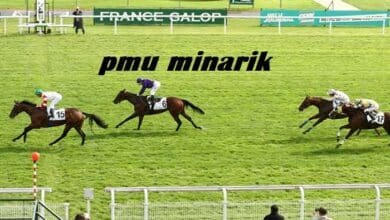 pmu minarik