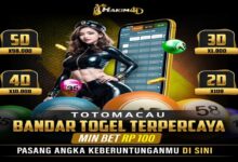 Hakim4D Mobile Experience