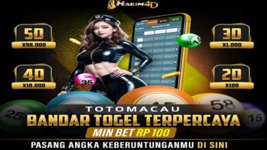 Hakim4D Mobile Experience